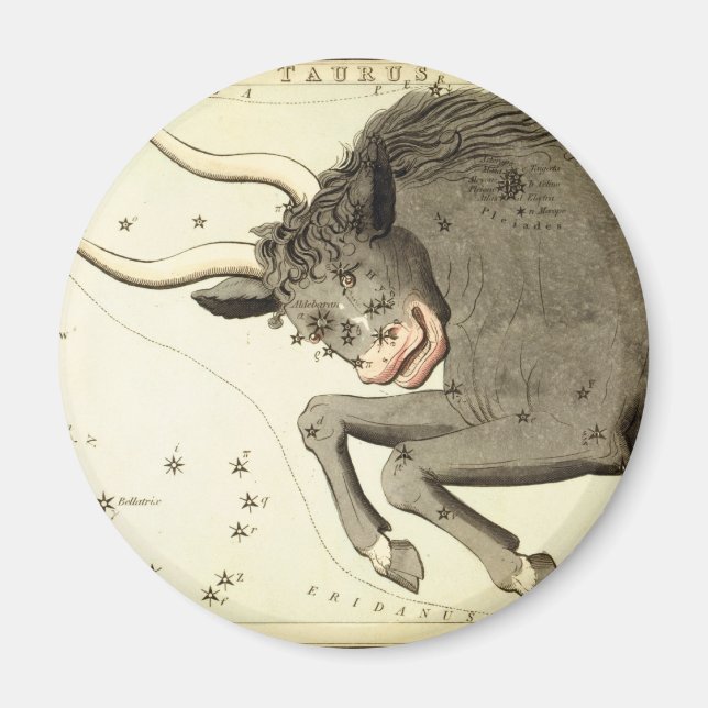 Íman Sinal Zodíaco: magnetas Taurus (Frente)