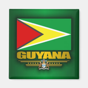 Íman Sinalizador da Guiana