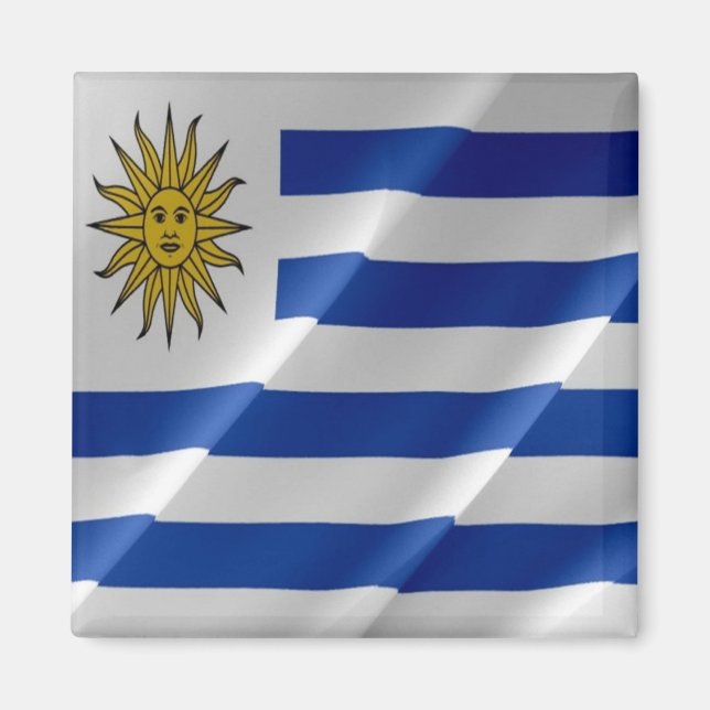 Íman Sinalizador de Onda zUY002 URUGUAY, América, Fridg (Frente)