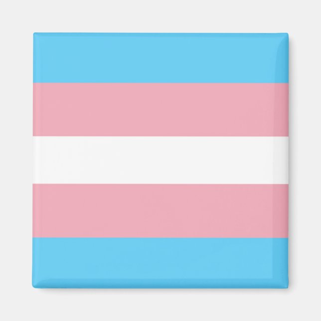 Íman Sinalizador de Prioridade Trans (Frente)