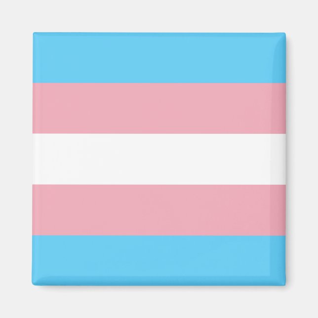 Íman Sinalizador do Orgulho Transgênero (Frente)
