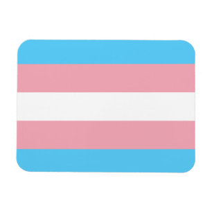 Íman Sinalizador do Orgulho Transgênero - Arco-Íris LGB