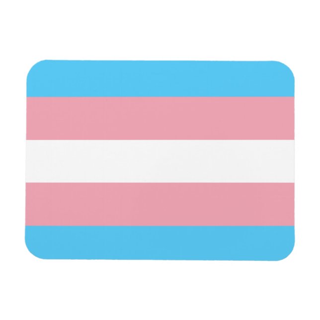 Íman Sinalizador do Orgulho Transgênero - Arco-Íris LGB (Horizontal)