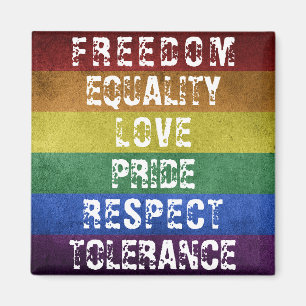 Íman Sinalizador LGBT Orgulho Moderno do Arco-Íris