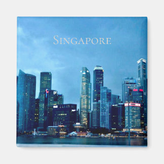 Íman Singapore Magnet
