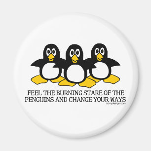 Íman Sinta o olhar fixo ardente dos pinguins