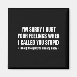 Íman Sinto Muito Por Magoar Seus Sentimentos Quando Lhe