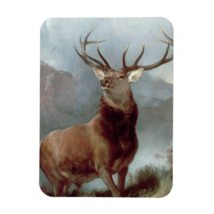 Íman Sir Edwin Landseer   Monarch of the Glen, 1851