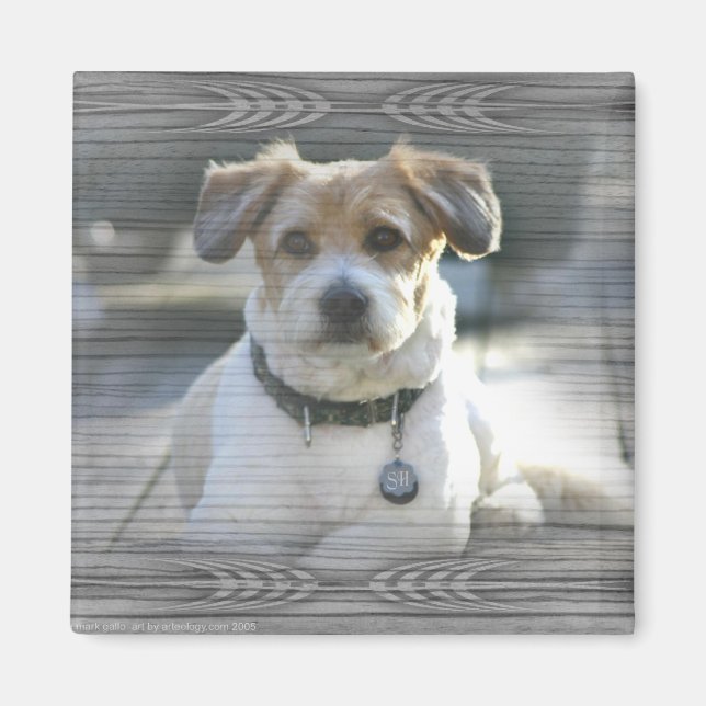 Íman Sir Henry (Frente)