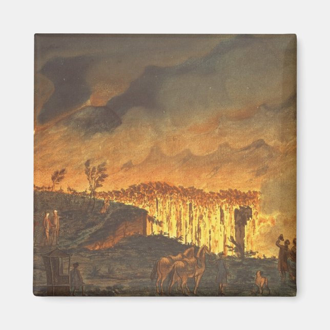 Íman Sir William Hamilton mostrando Fernando IV (Frente)