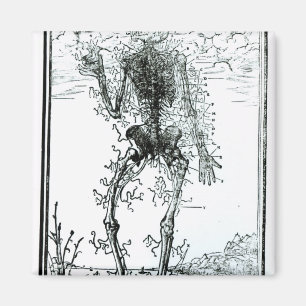 Íman Sistema Vascular do Corpo