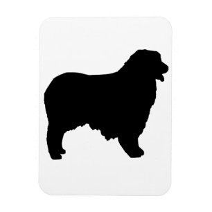 Íman Sítio Shepherd australiano