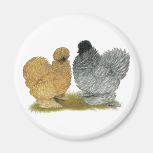 Íman Sizzle Chickens