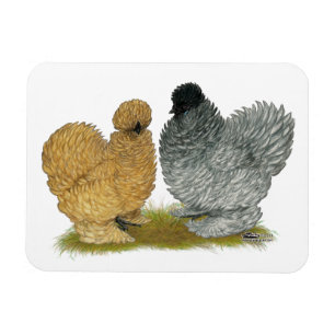 Íman Sizzle Chickens