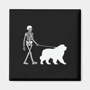Íman Skeleton Andando Um Cachorro Terra Nova Saída