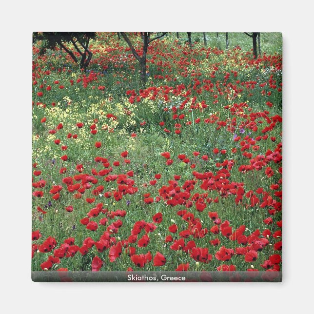 Íman Skiathos, Grécia (Frente)