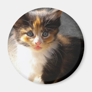 Íman Skittles Magnet