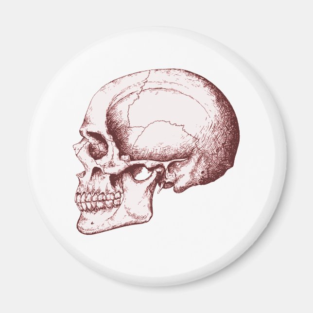 Íman Skull Sid eRed (Frente)