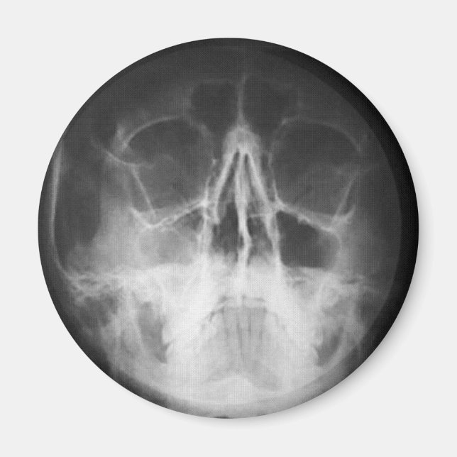 Íman Skully Top Divertido (Frente)