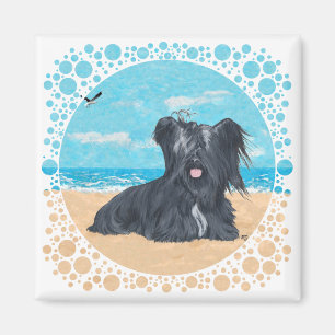 Íman Skye Terrier na Praia