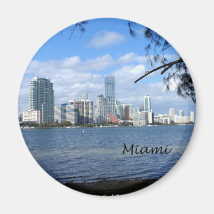Íman Skyline de Miami