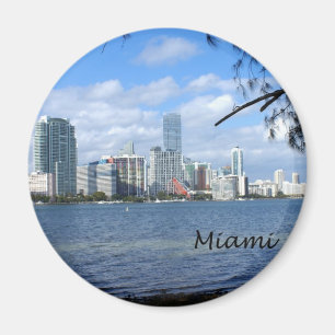 Íman Skyline de Miami