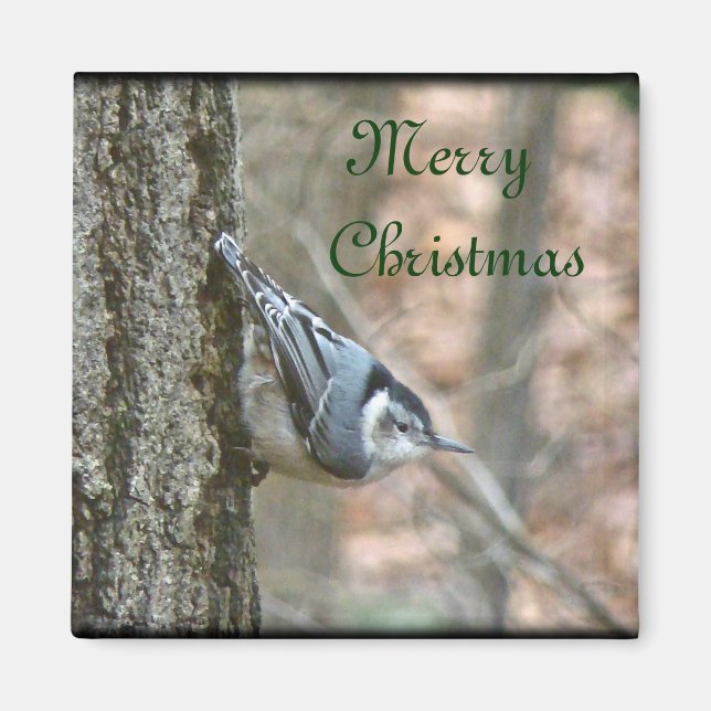 Íman Slate Cinza Nuthatthatbird Natal Songbird Natal (Frente)