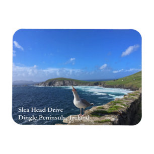 Íman Slea Head Drive, Dingle Peninsula, Irlanda Magnet