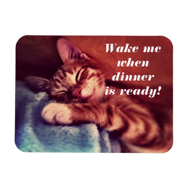 Íman Sleepy Kitten Magent (Horizontal)