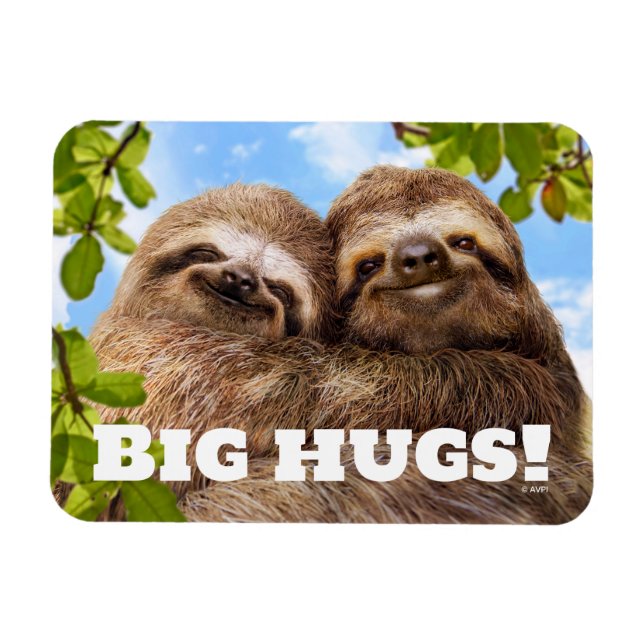 Íman Sloth Couple (Horizontal)