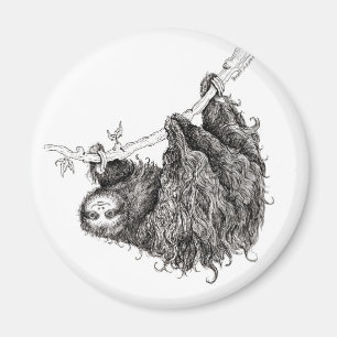 Íman slothy