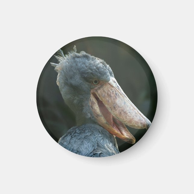 Íman Smiling Shoebill (Frente)