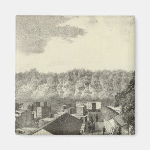 Íman Smock & Buchanon, traficantes de madeira, Asbury P