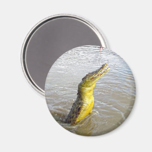 Íman Snappers Assustadores: O Salto do Crocodilo,