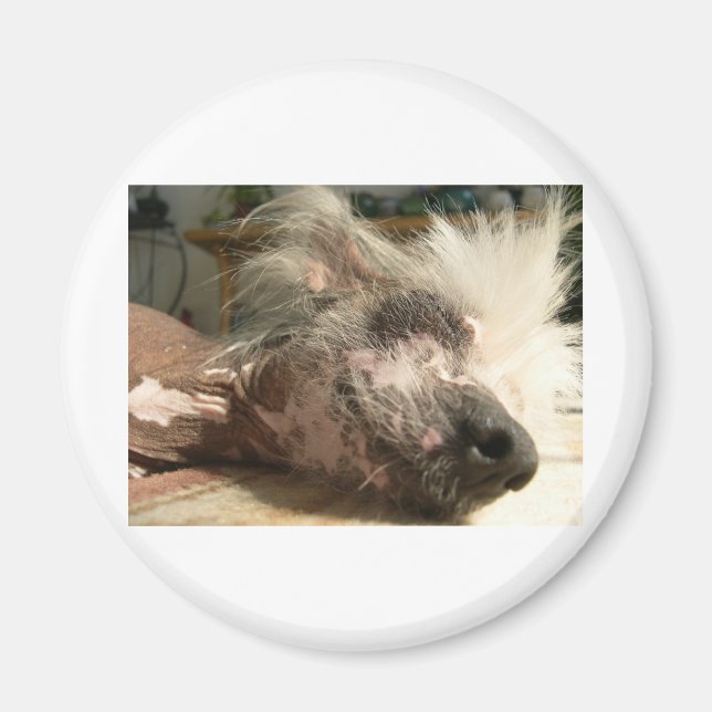 Íman snooze (Frente)