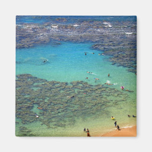 Íman Snorklers na baía de Hanauma, Oahu, Havaí