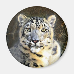 Íman Snow Lepard