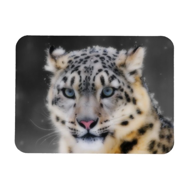 Íman Snow Lepard (Horizontal)