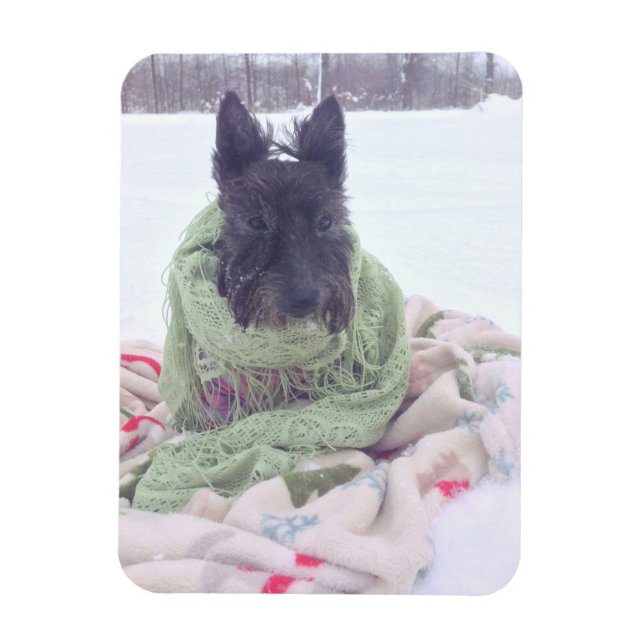 Íman Snow Scottie (Vertical)