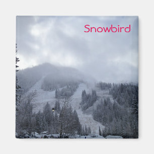 Íman Snowbird