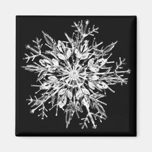 Íman Snowflake Crystal