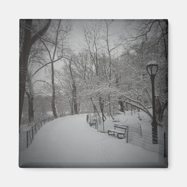 Íman Snowstorm, Central Park, Nova Iorque (Frente)