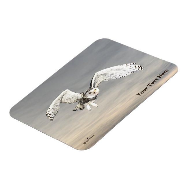 Íman Snowy Owl (Left Side)