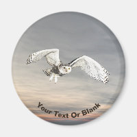 Snowy Owl