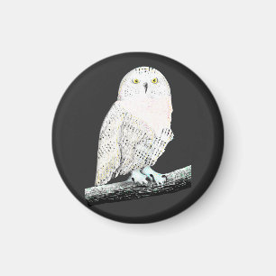 Íman Snowy Owl