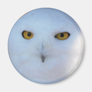 Íman Snowy Owl