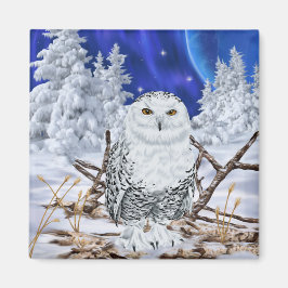 Íman Snowy Owl em neve
