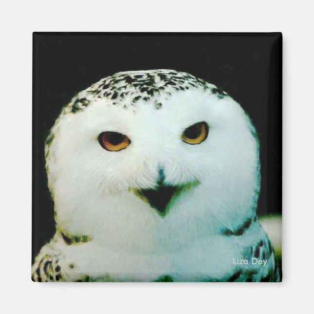 Íman Snowy Owl Magnet (Frente)