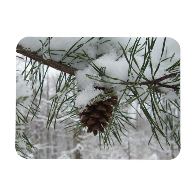 Íman Snowy Pine Branch Winter Nature Fotografia (Horizontal)