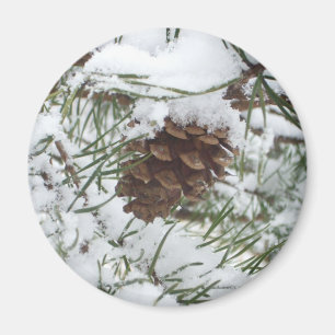 Íman Snowy Pine Cone I Winter Nature Photoshop